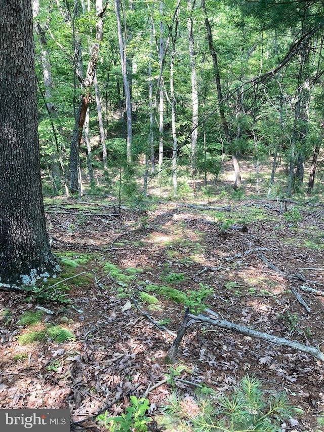 LOT4 Silent Way, High View, WV 26808