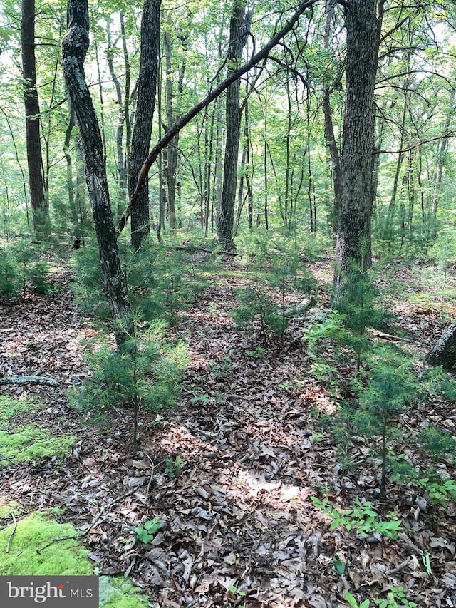 LOT4 Silent Way, High View, WV 26808
