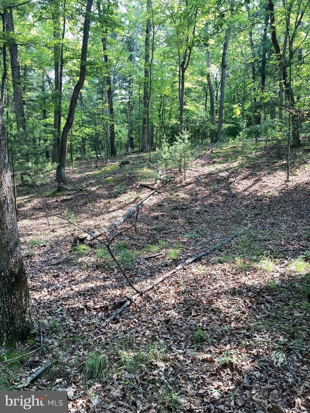 LOT4 Silent Way, High View, WV 26808