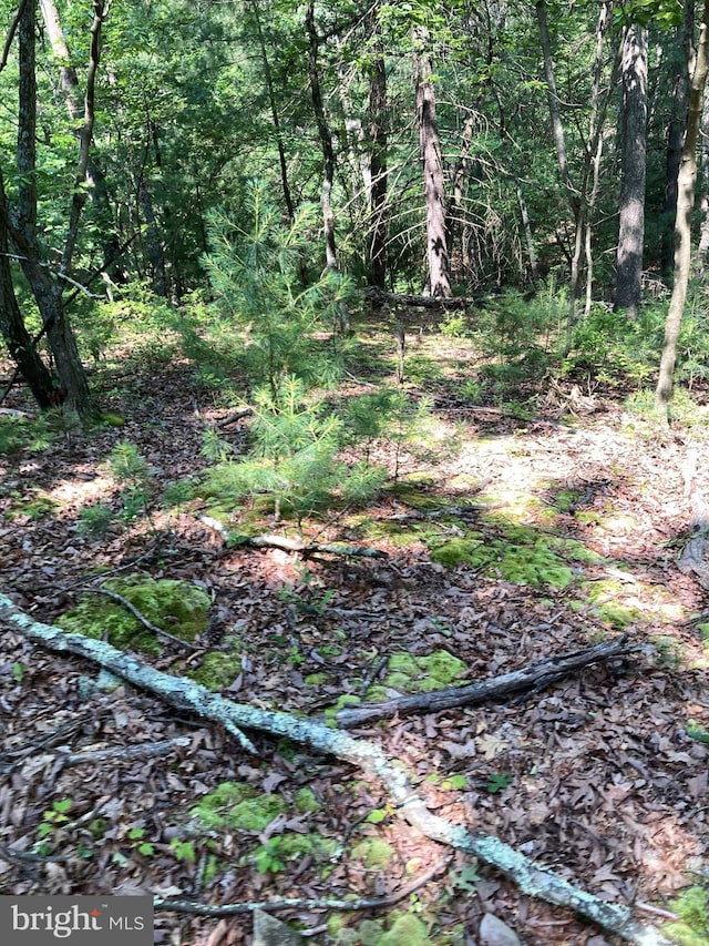 LOT4 Silent Way, High View, WV 26808