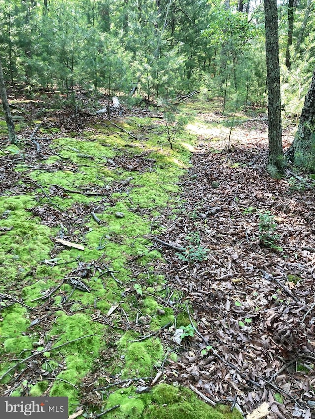 LOT4 Silent Way, High View, WV 26808