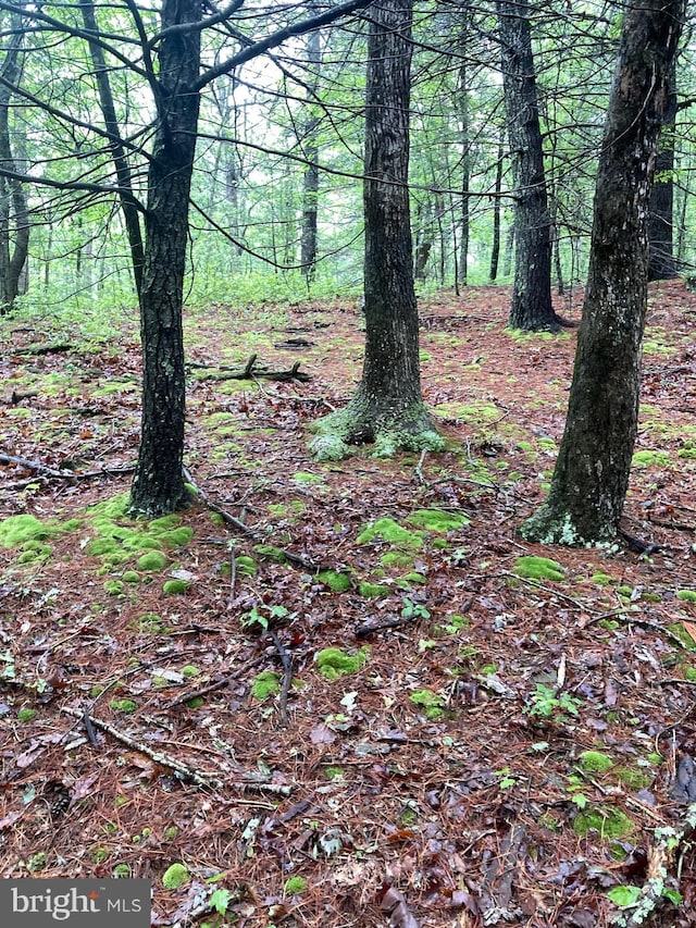 LOT4 Silent Way, High View, WV 26808