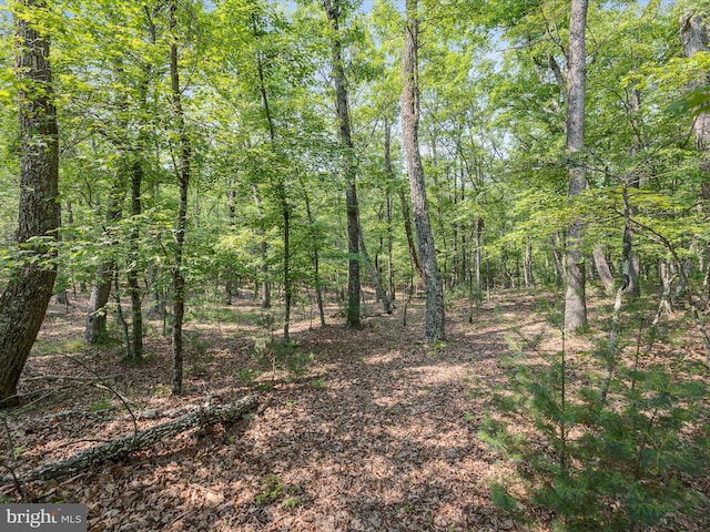 LOT4 Silent Way, High View, WV 26808