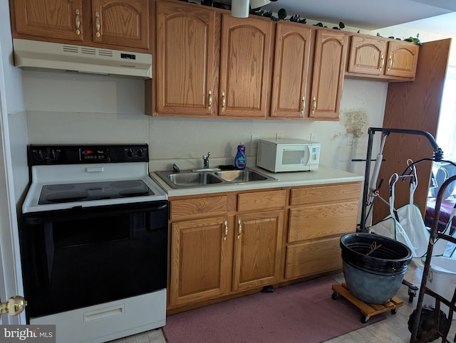 9933 Hoovers Hill Rd, Huntingdon, PA 16652 - kitchen with black electric range oven, under cabinet range hood, white microwave, and light countertops