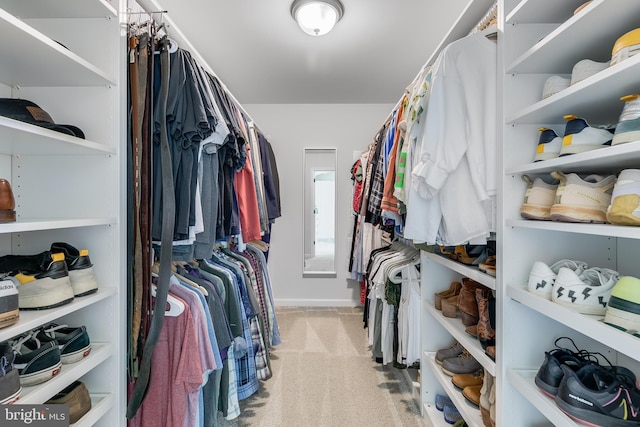 9307 Cedar Forest Dr, Fredericksburg, VA 22408 - spacious closet featuring light carpet