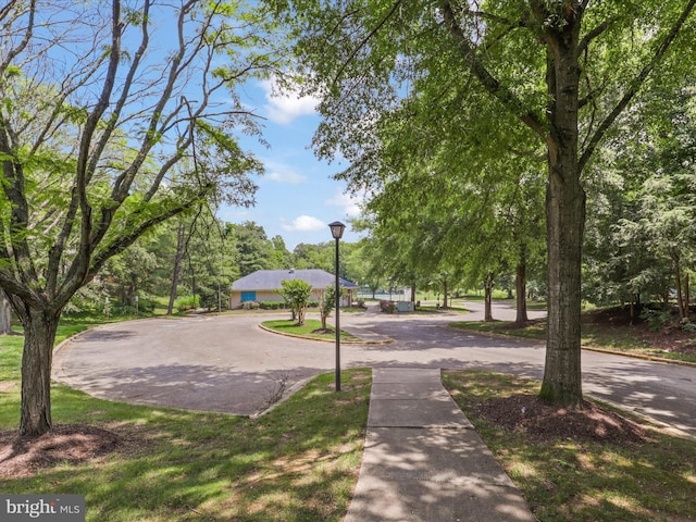 4514 Running Deer Way Unit 390A, Bowie, MD 20720 - view of property's community with curved driveway