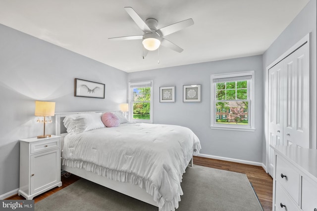 9017 Rouen Ln, Potomac, MD 20854 - bedroom with multiple windows, dark wood-style floors, baseboards, and a closet