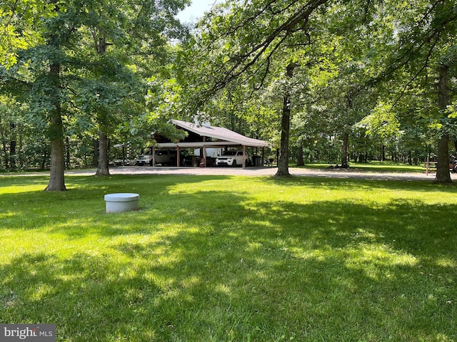 16010 Newbys Shop Rd, Elkwood, VA 22718 - view of grassy yard with a carport