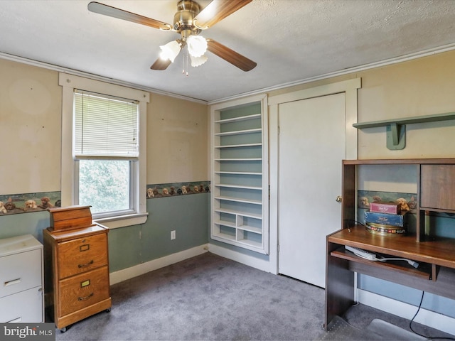 12225 Upper Georges Creek Rd SW, Frostburg, MD 21532 - unfurnished office featuring carpet flooring, ceiling fan, and crown molding