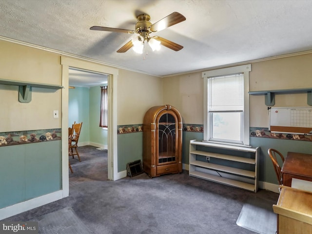 12225 Upper Georges Creek Rd SW, Frostburg, MD 21532 - office space with a ceiling fan, carpet flooring, ornamental molding, and a textured ceiling