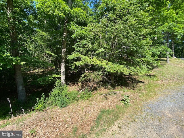 1114 Lakeview Dr, Cross Junction, VA 22625