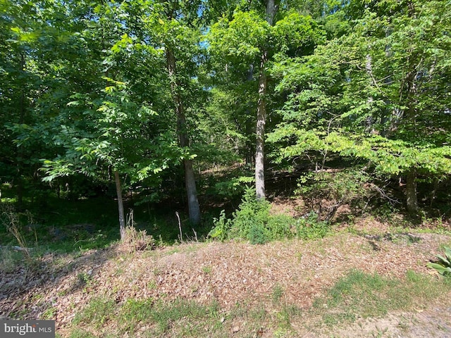 1114 Lakeview Dr, Cross Junction, VA 22625