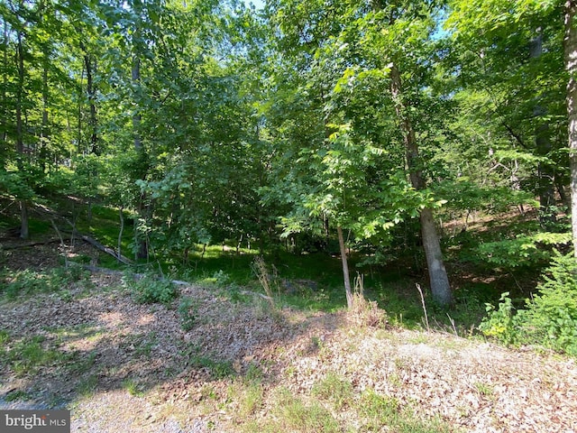 1114 Lakeview Dr, Cross Junction, VA 22625