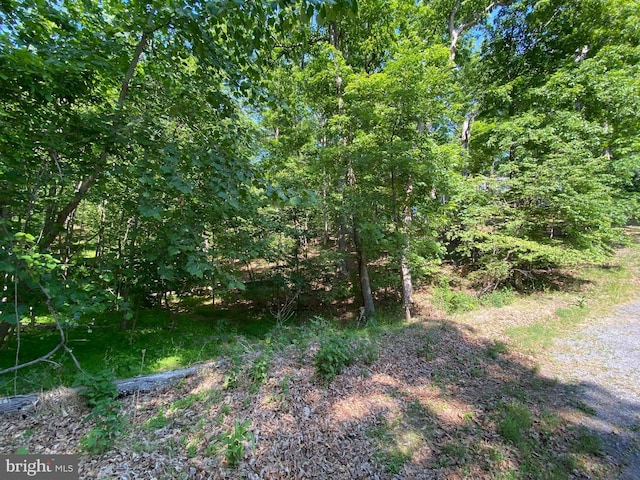 1114 Lakeview Dr, Cross Junction, VA 22625