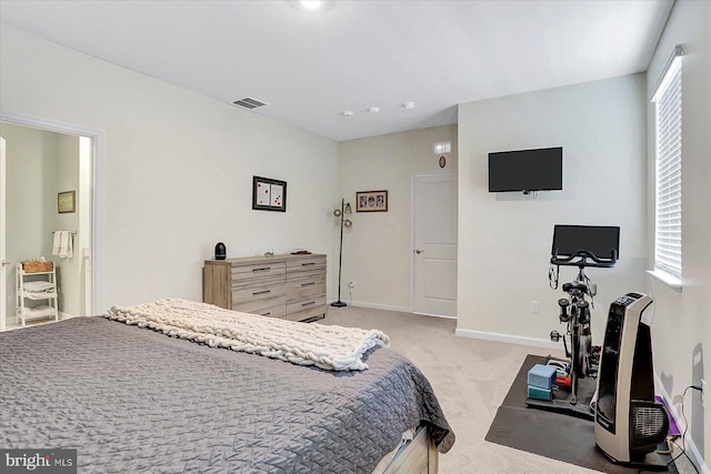 27 Quiet Creek Dr, Gettysburg, PA 17325 - bedroom with light carpet and baseboards