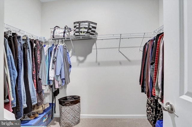 27 Quiet Creek Dr, Gettysburg, PA 17325 - spacious closet with carpet flooring