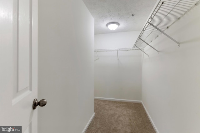 Goose Landing Cir, Columbia, MD 21044 - walk in closet featuring carpet flooring