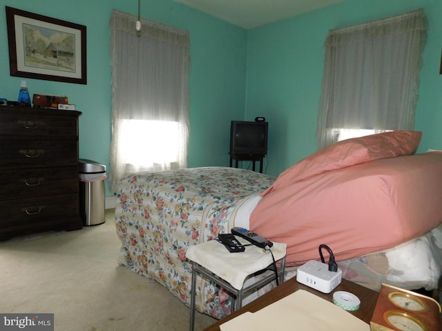 46-48 W Third St, Waynesboro, PA 17268 - bedroom featuring light carpet