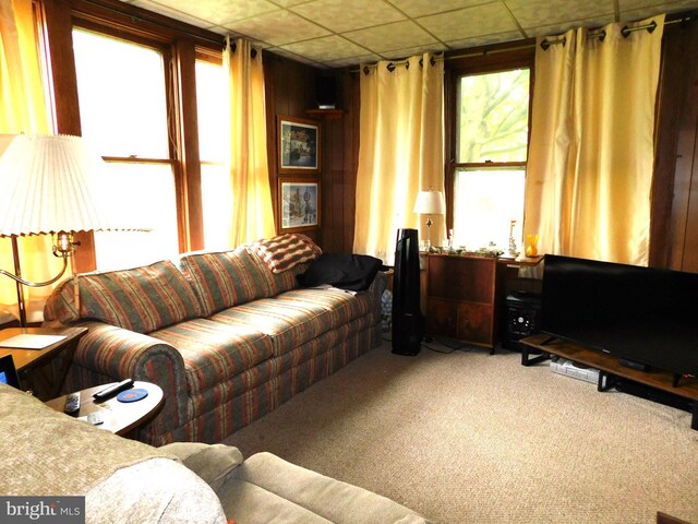 46-48 W Third St, Waynesboro, PA 17268 - living area featuring light carpet