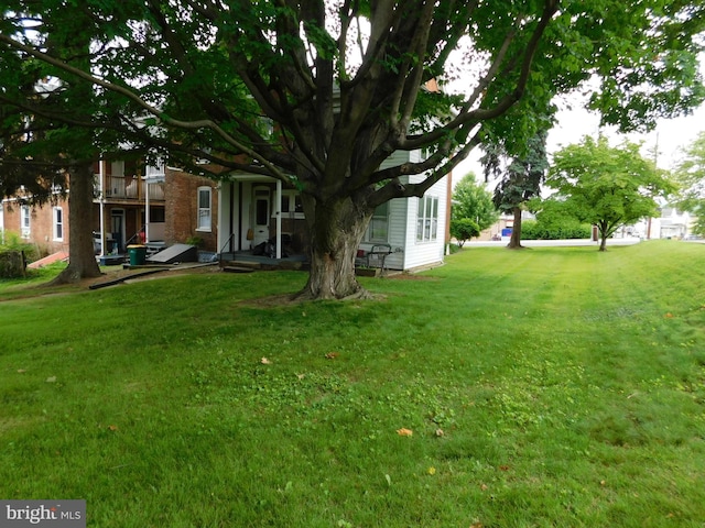 46-48 W Third St, Waynesboro, PA 17268 - view of green lawn