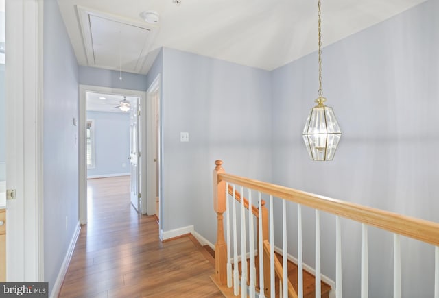 10728 Horde St, Silver Spring, MD 20902 - corridor with attic access, an upstairs landing, wood finished floors, and baseboards