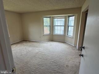 205 Rachel Ct, Franklin Park, NJ 08823 - carpeted empty room featuring plenty of natural light and a textured ceiling