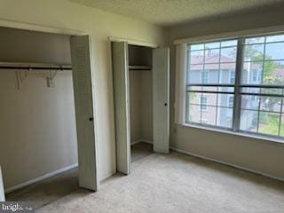 205 Rachel Ct, Franklin Park, NJ 08823 - unfurnished bedroom featuring multiple closets, carpet, and a textured ceiling