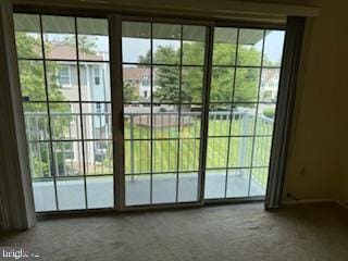 205 Rachel Ct, Franklin Park, NJ 08823 - doorway featuring carpet and plenty of natural light