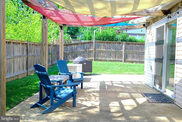 231 E Juniper Ave, Sterling, VA 20164 - view of patio / terrace