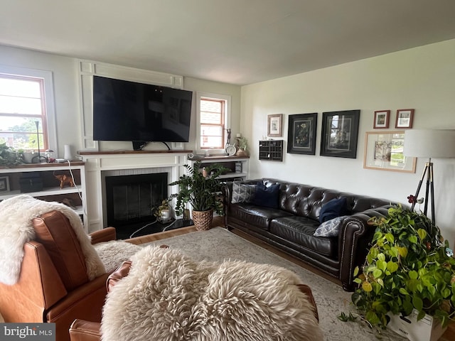 9108 Deborah Ave, Baltimore, MD 21236 - living room with a glass covered fireplace