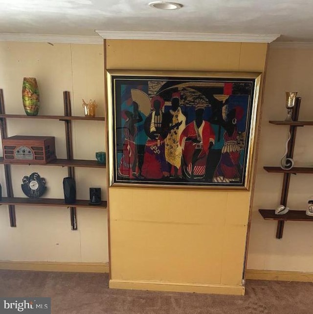 5750 N Woodstock St, Philadelphia, PA 19138 - detailed view of carpet flooring, crown molding, and baseboards