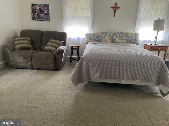 6936 Cedar Ave, Pennsauken, NJ 08109 - bedroom with multiple windows and carpet flooring