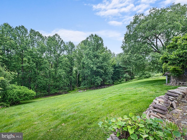 2 N Pheasants Rdg N, Wilmington, DE 19807 - view of green lawn
