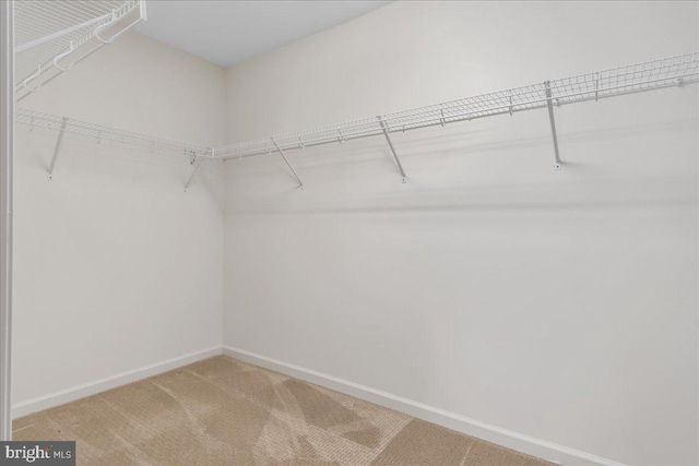 13336 Marquise Dr, Hagerstown, MD 21742 - spacious closet with carpet