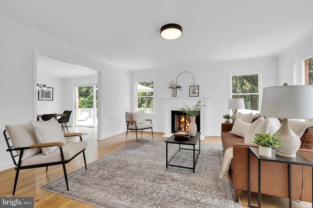 2725 Woodridge Ct, West Friendship, MD 21794 - living area featuring plenty of natural light, crown molding, wood finished floors, and a fireplace with flush hearth