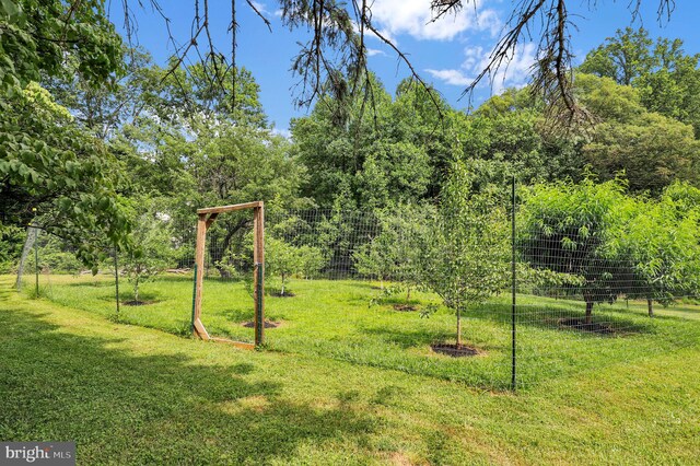 2725 Woodridge Ct, West Friendship, MD 21794 - view of yard