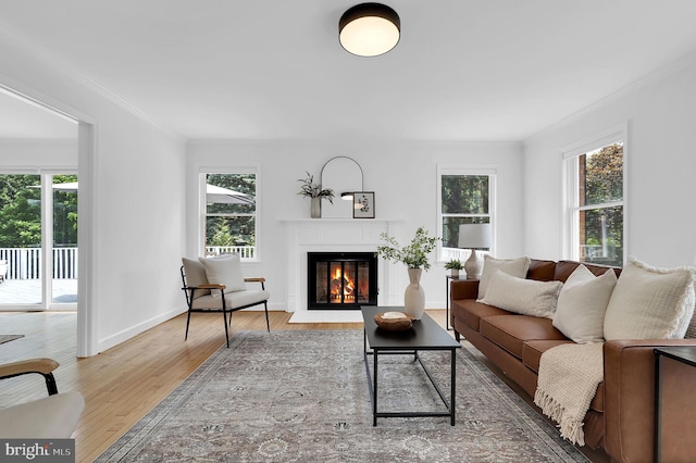 2725 Woodridge Ct, West Friendship, MD 21794 - living area with ornamental molding, a fireplace with flush hearth, and hardwood / wood-style floors