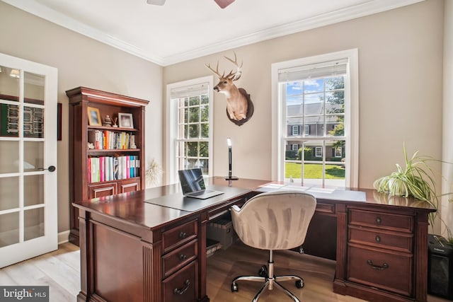 18510 Barton Creek Pl, Leesburg, VA 20176 - office space with light wood-type flooring, ornamental molding, and ceiling fan