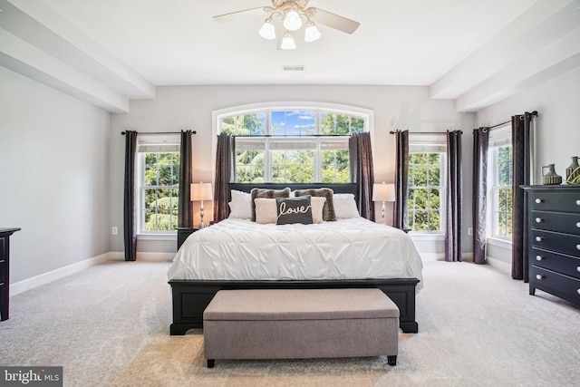18510 Barton Creek Pl, Leesburg, VA 20176 - bedroom with light carpet and a ceiling fan