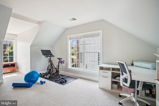18510 Barton Creek Pl, Leesburg, VA 20176 - workout room featuring vaulted ceiling and light carpet