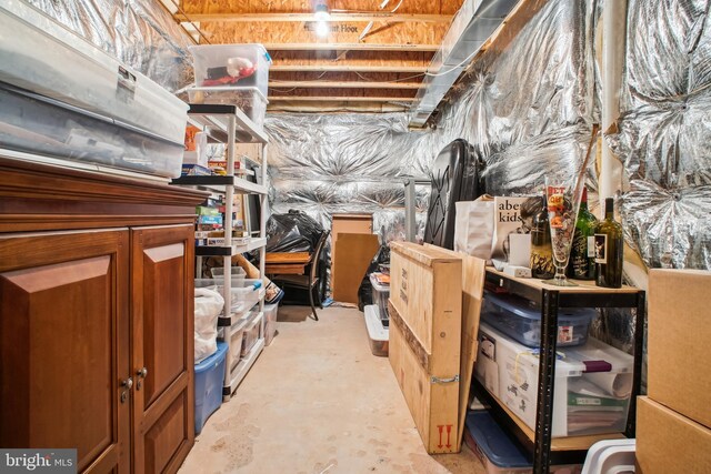 18510 Barton Creek Pl, Leesburg, VA 20176 - view of storage area