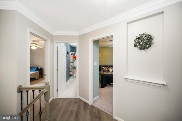 12424 Silent Wolf Dr, Manassas, VA 20112 - corridor with ornamental molding and wood finished floors