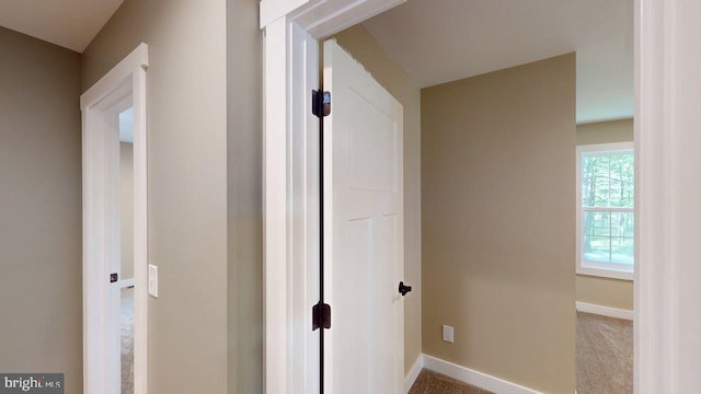 542 Hidden Acres Rd, Mount Storm, WV 26739 - hallway with baseboards and carpet