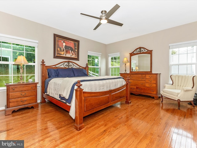 4714 De Invierno, Mount Airy, MD 21771 - bedroom featuring light wood-type flooring, multiple windows, and a ceiling fan
