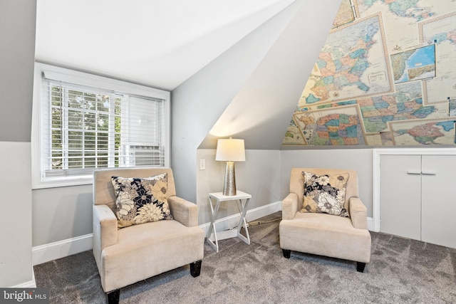 3010 26th St NE, Washington, DC 20018 - living area with carpet flooring and lofted ceiling