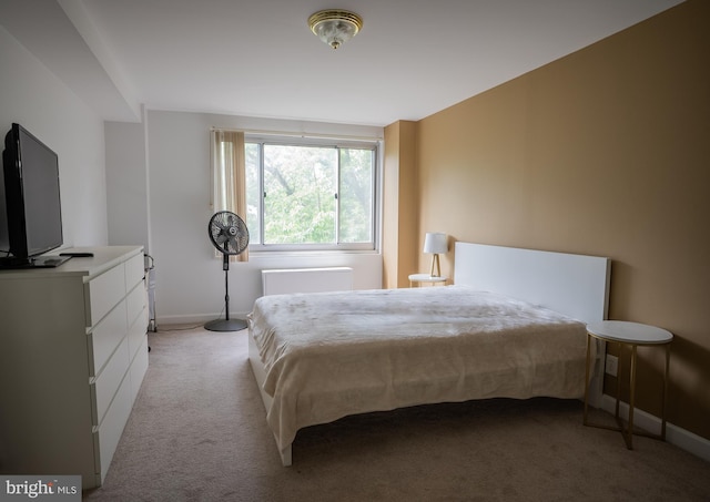 1900 Lyttonsville Rd Unit 514, Silver Spring, MD 20910 - bedroom featuring light carpet and baseboards