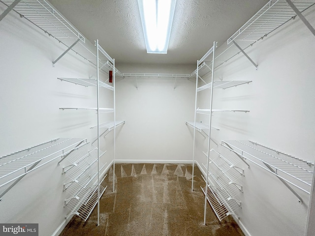 60 Parkwood Dr, Greencastle, PA 17225 - spacious closet with carpet floors