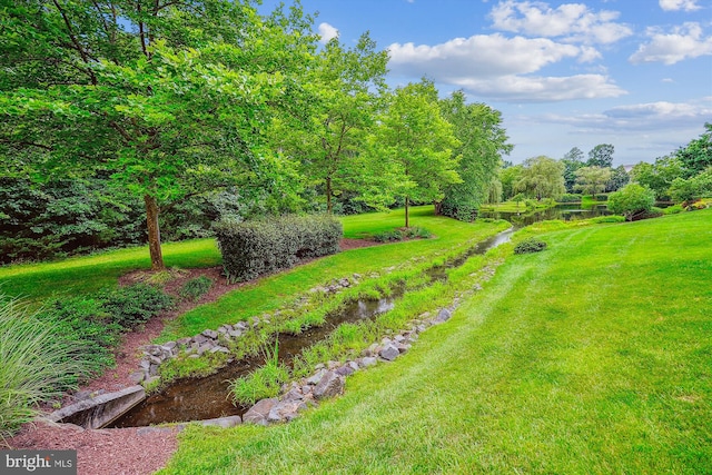 13298 Fieldstone Way, Gainesville, VA 20155 - view of green lawn