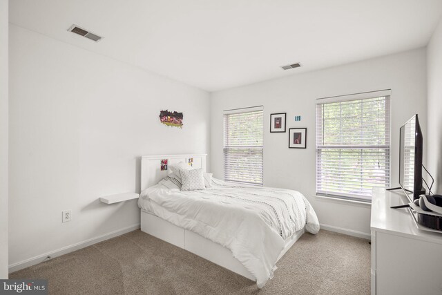 818 Northridge Way, Severna Park, MD 21146 - bedroom featuring baseboards and light colored carpet