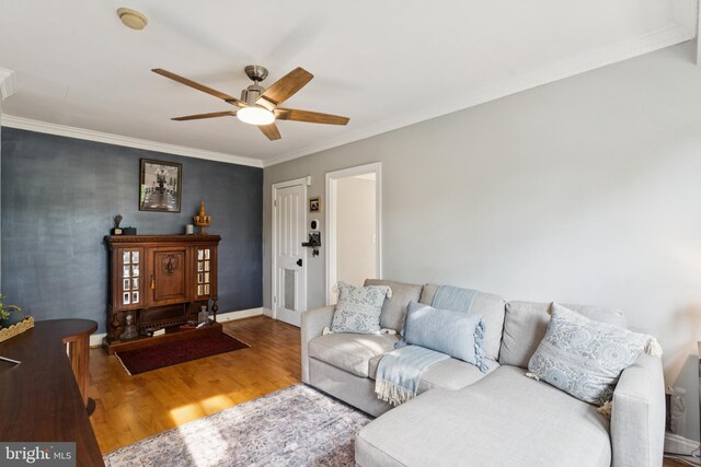 2625 3rd St NE Unit 306, Washington, DC 20002 - living room with wood finished floors, a ceiling fan, and ornamental molding